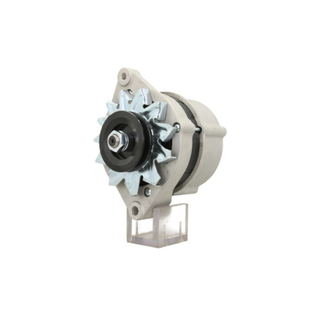Alternator Bukh 50A